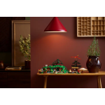 10354 LEGO ICONS Властелин колец: Шир